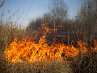 Выжигание сухой растительности опасно для здоровья, вредно для природы!