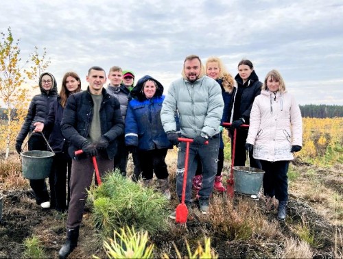 1 200 молодых сосен высадили работники перинатального центра в Гожском лесничестве